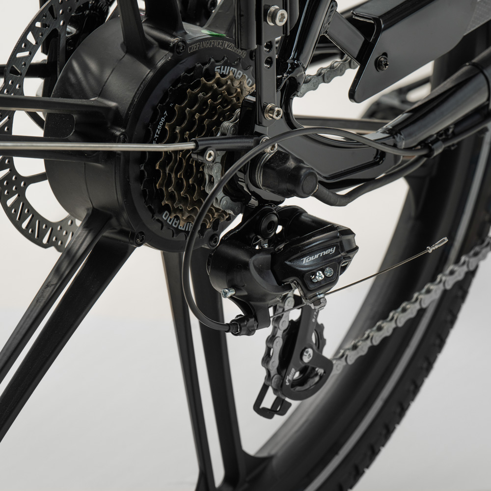 Elektriline kastiratas CARGOBIKE of SWEDEN Flex