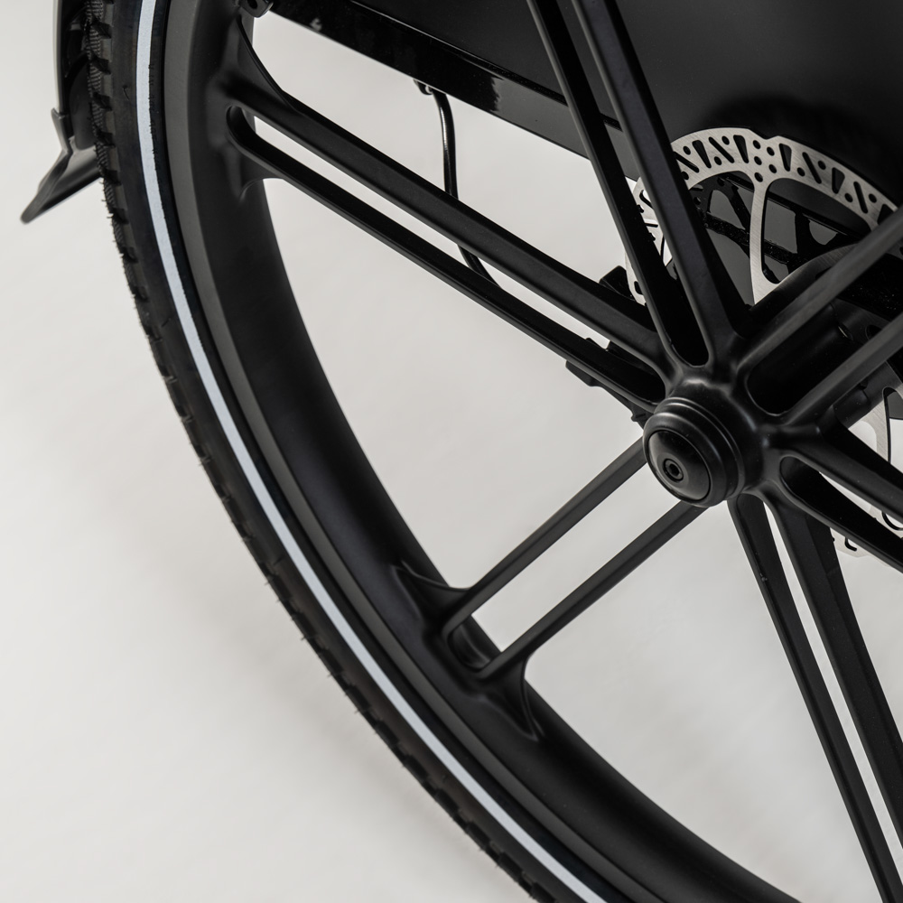 Elektriline kastiratas CARGOBIKE of SWEDEN Flex