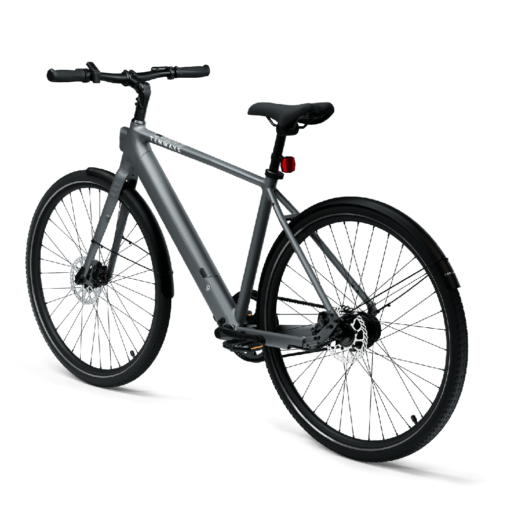 Elektrijalgratas TENWAYS CGO600 PRO, Light Grey (L)