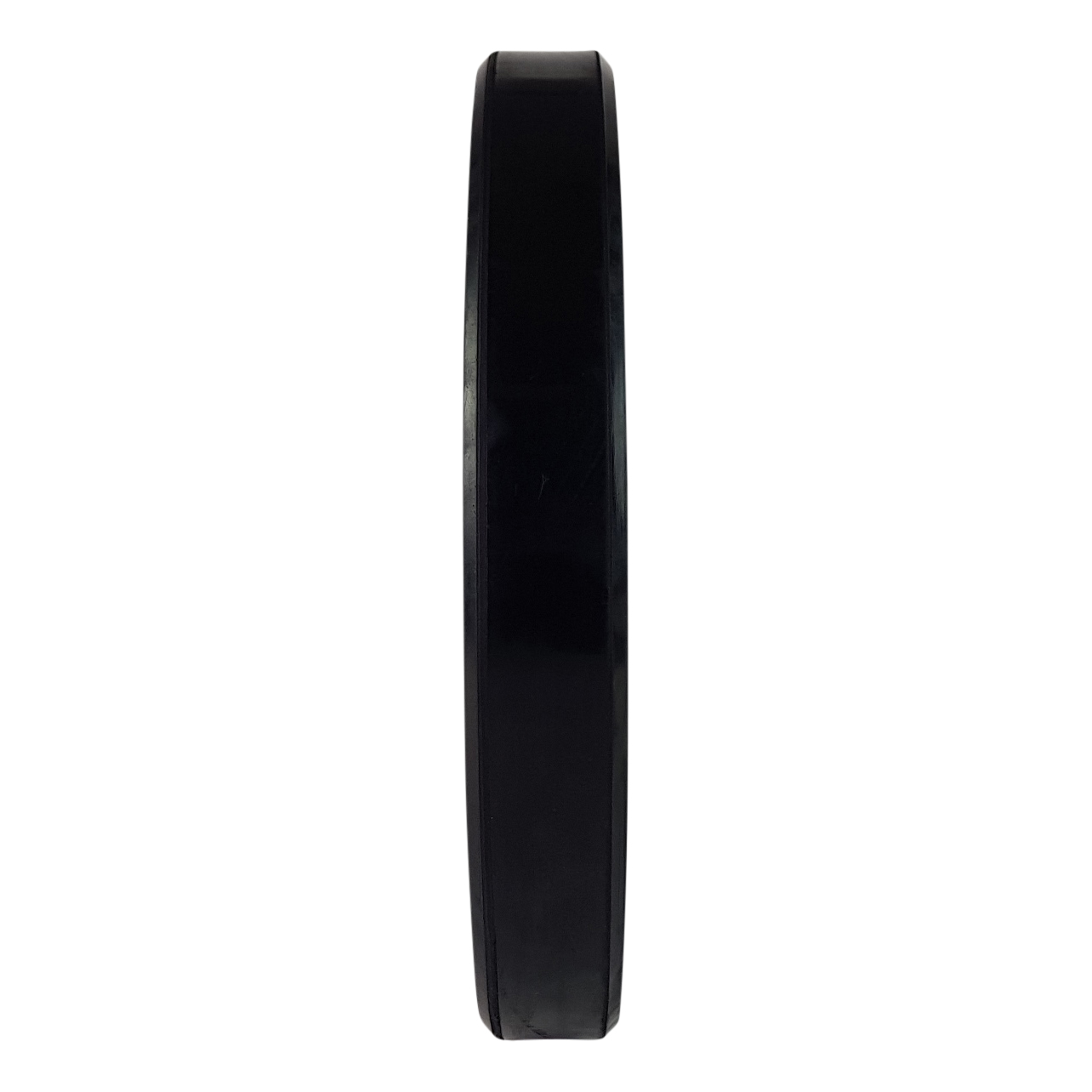 Raskusketas TUNTURI Training Bumper Plate, 50 mm, 15 kg