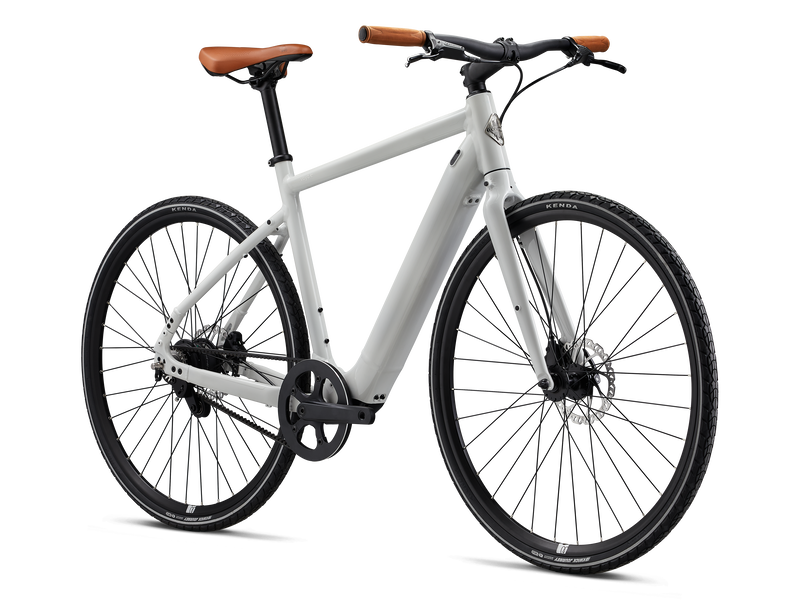 Elektrijalgratas Giant MOMENTUM Voya E+ 2, Lunar (M)