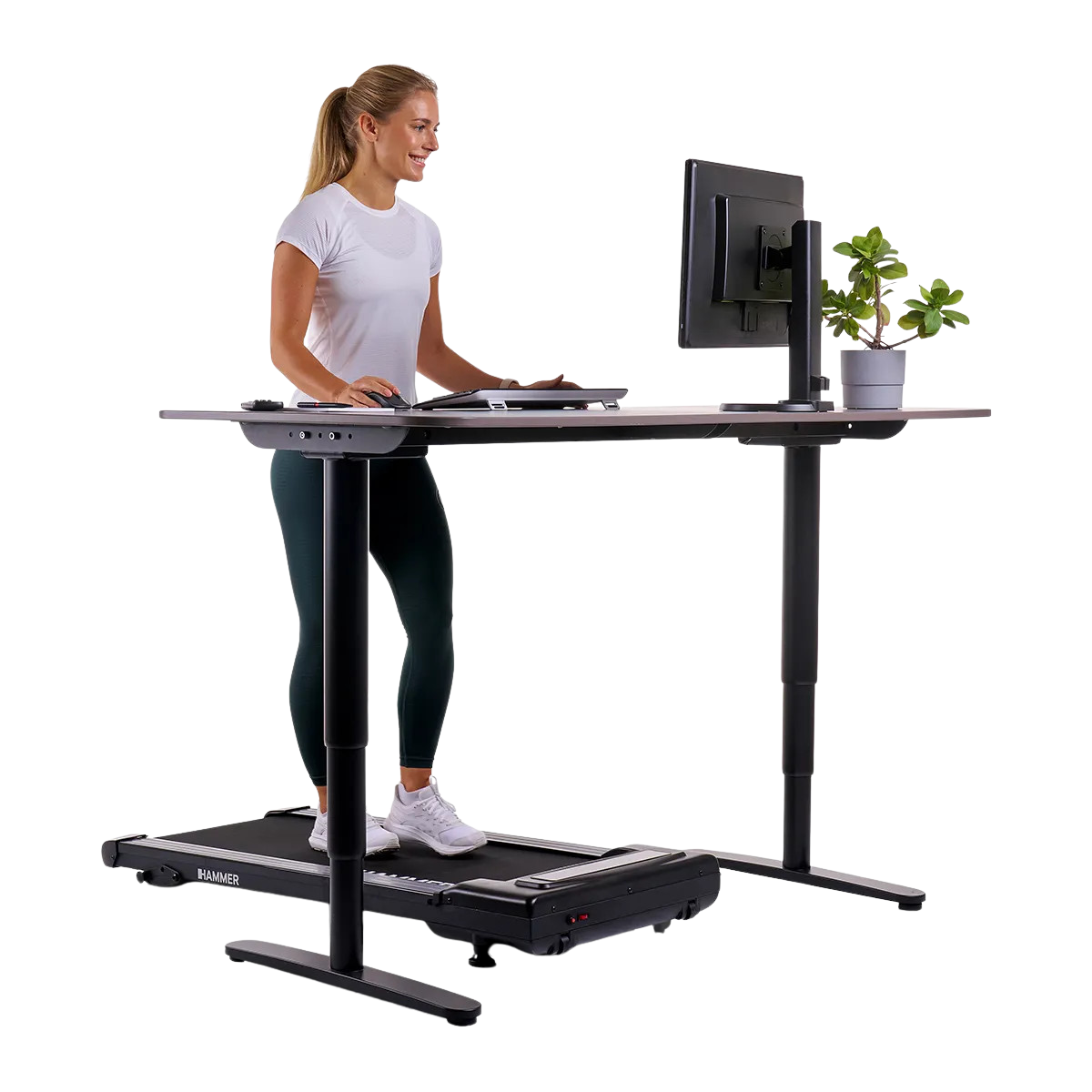 Käimislint HAMMER Walk 2.0