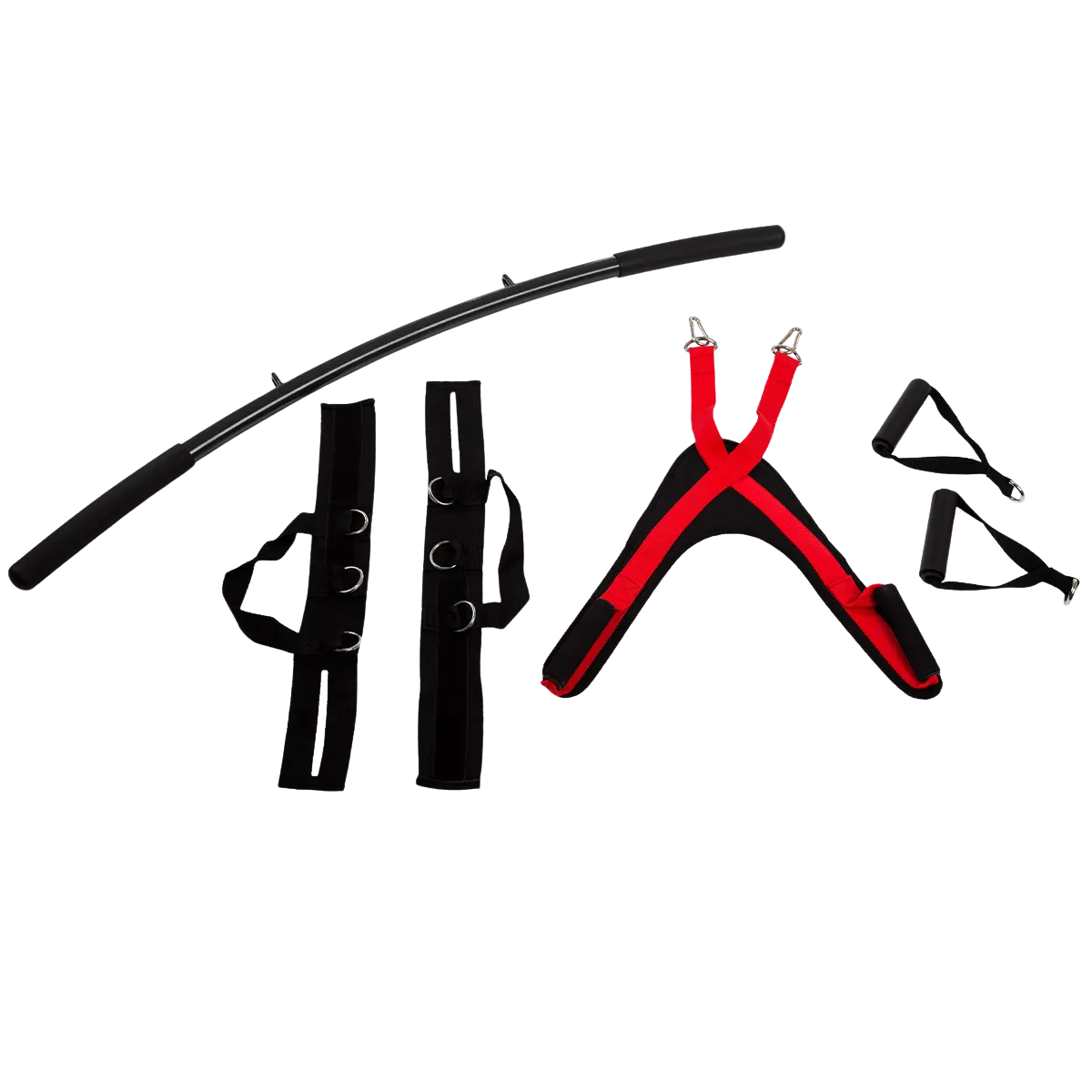 Jõujaam HAMMER Bio Force