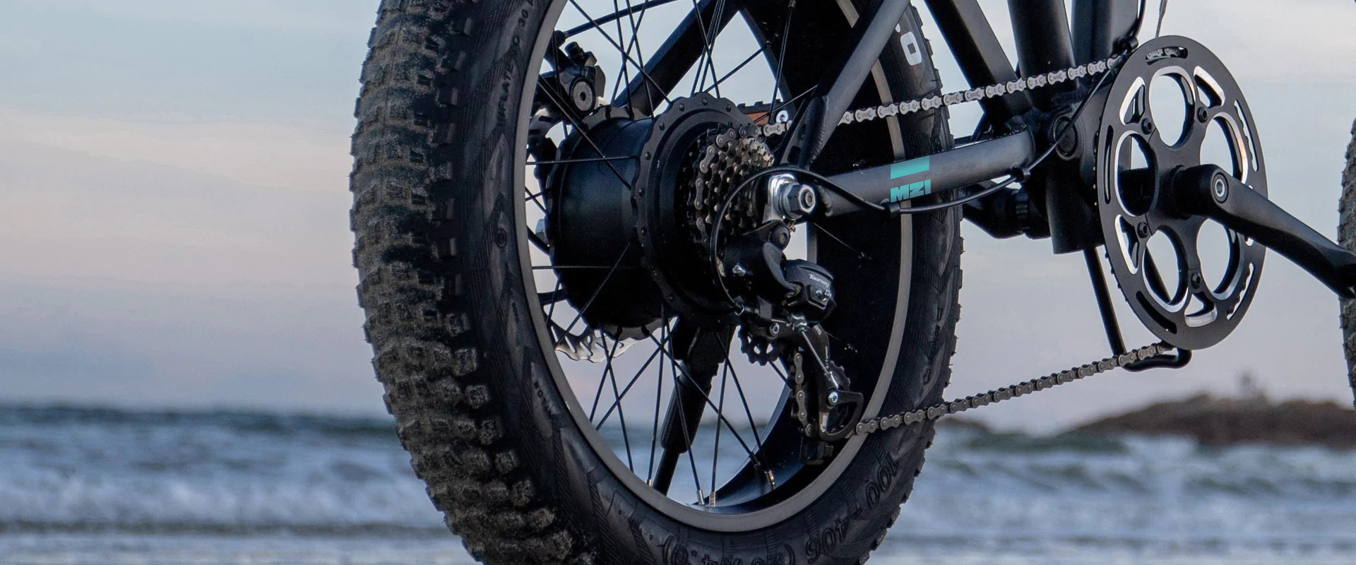 Elektrijalgratas Fiido M21 (48 V / 11,6 Ah), kokkupandav