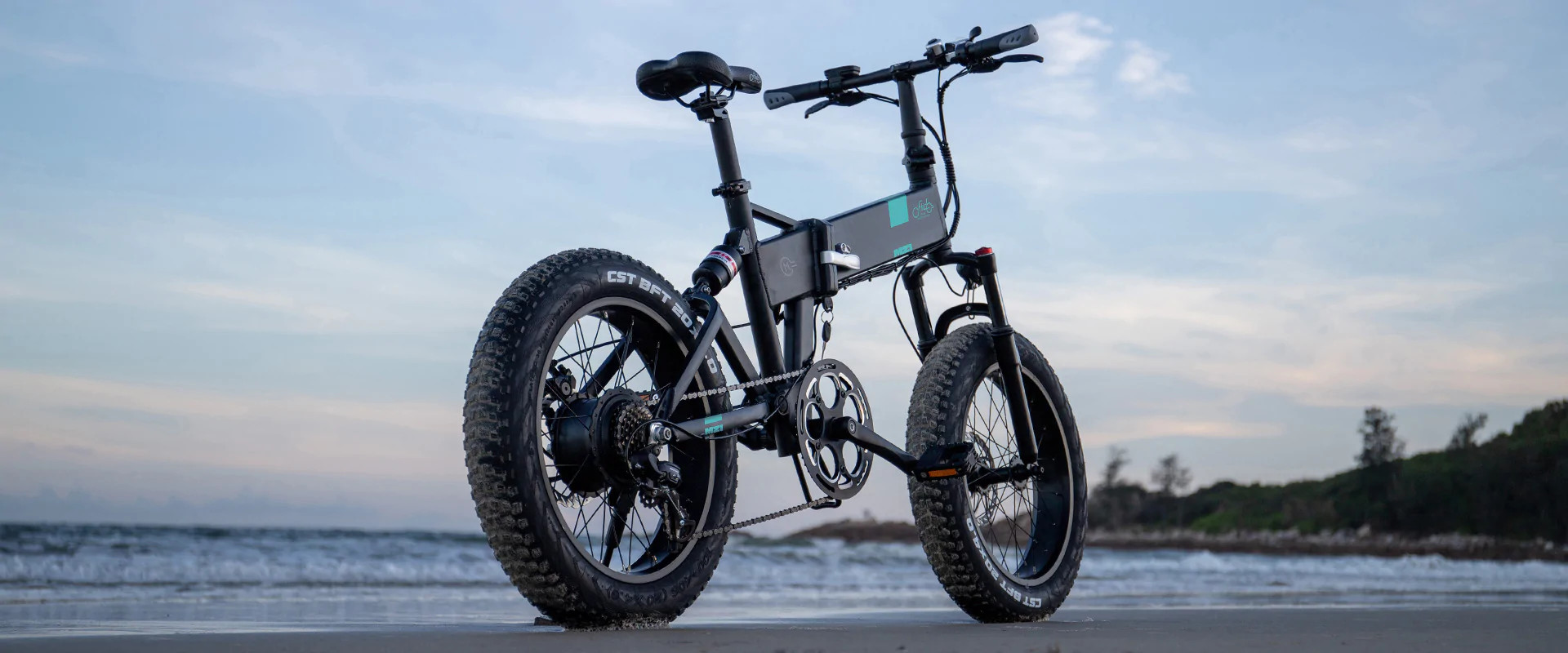 Elektrijalgratas Fiido M21 (48 V / 11,6 Ah), kokkupandav