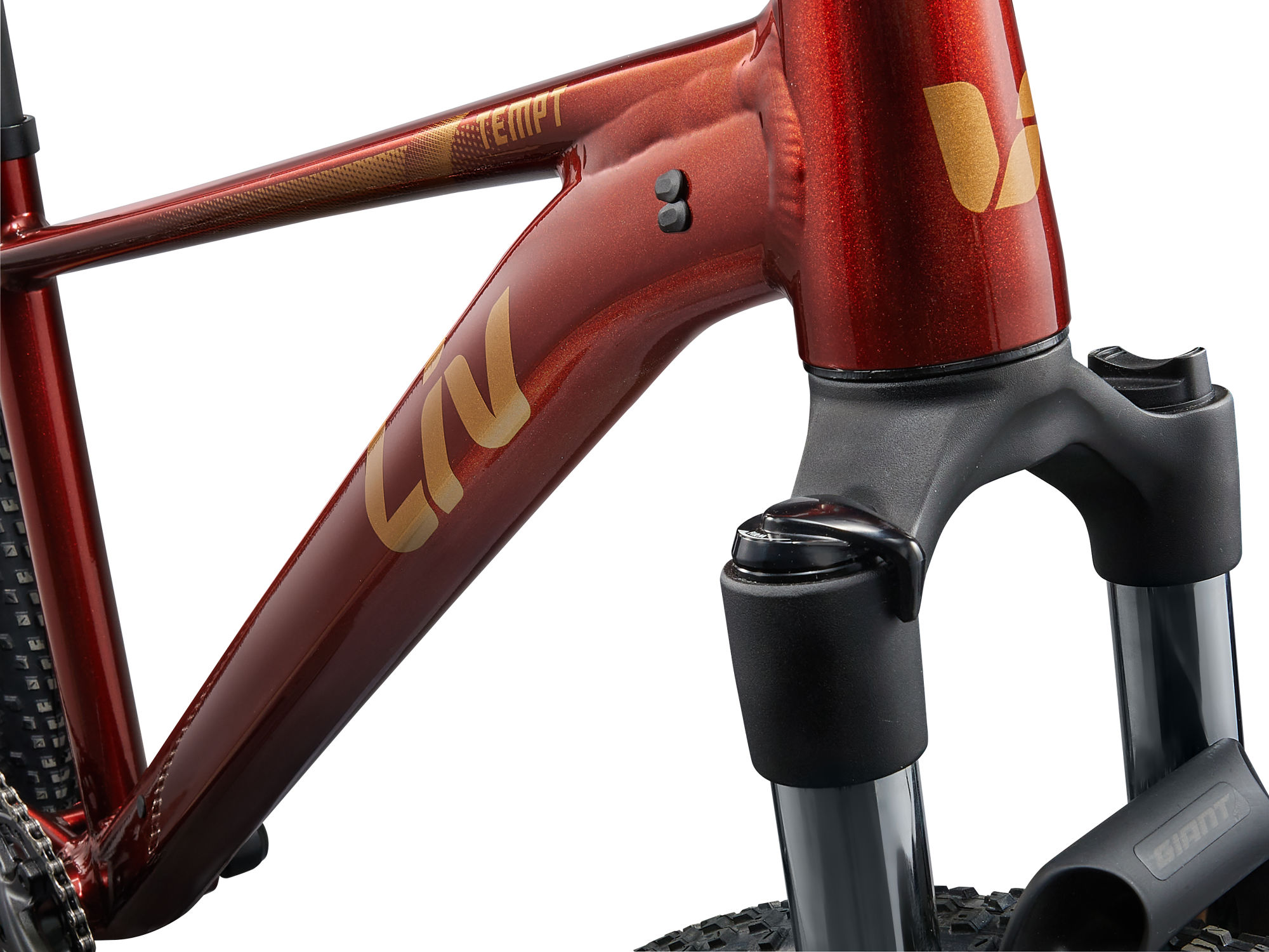 Naiste jalgratas LIV Tempt 2, 29″ Mars Dust (M)