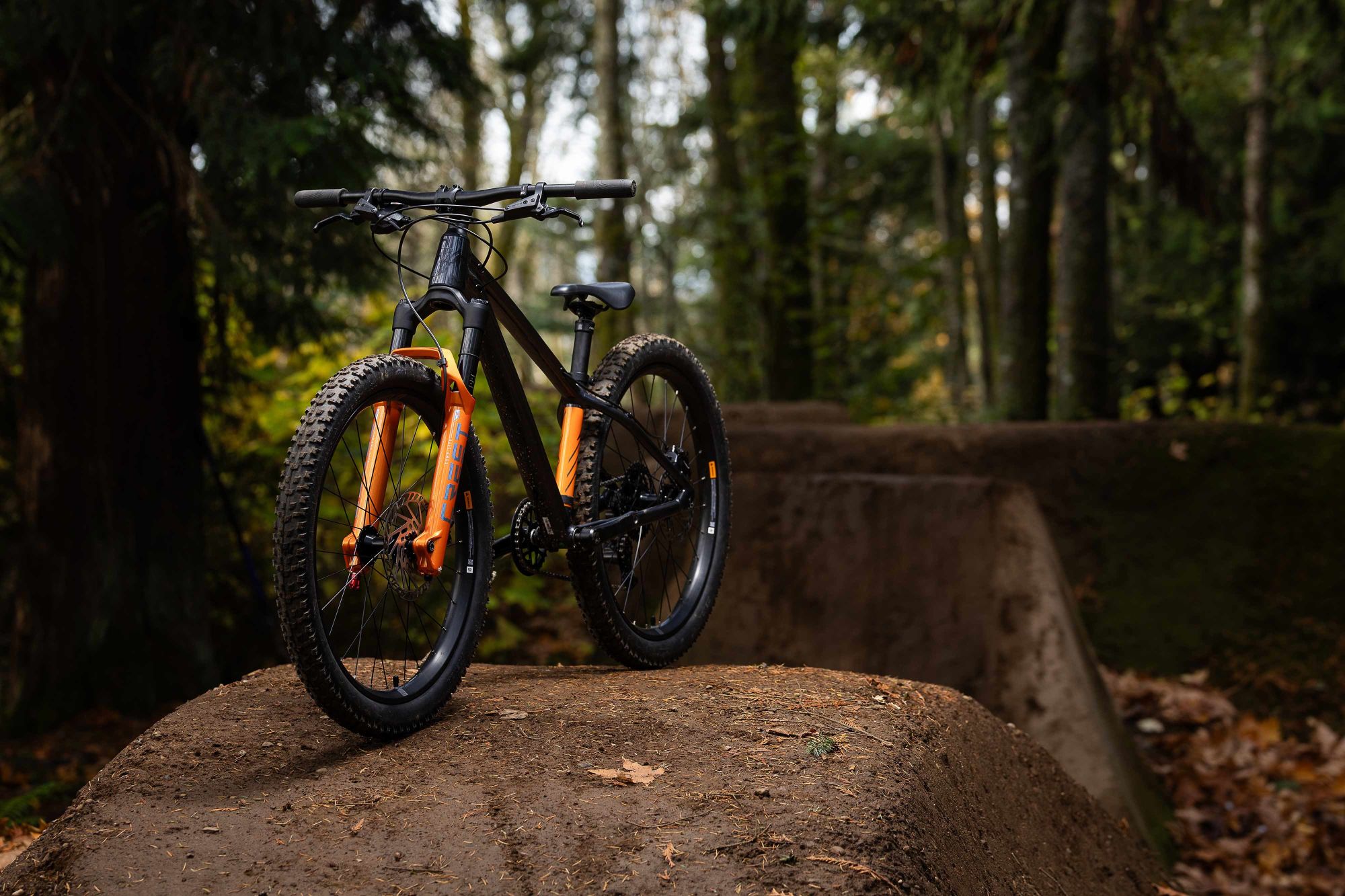 Laste jalgratas GIANT STP 24 (2026) Black Chrome