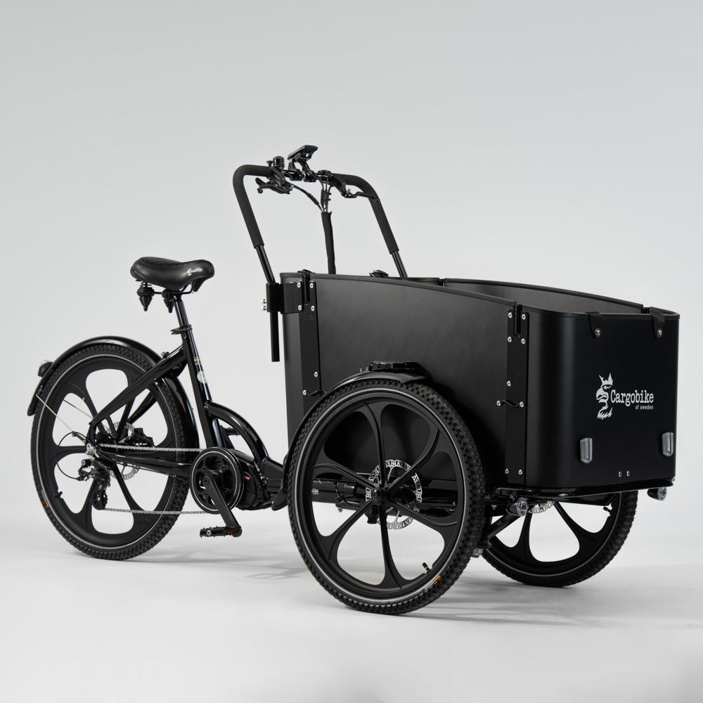 Elektriline kastiratas CARGOBIKE Delight