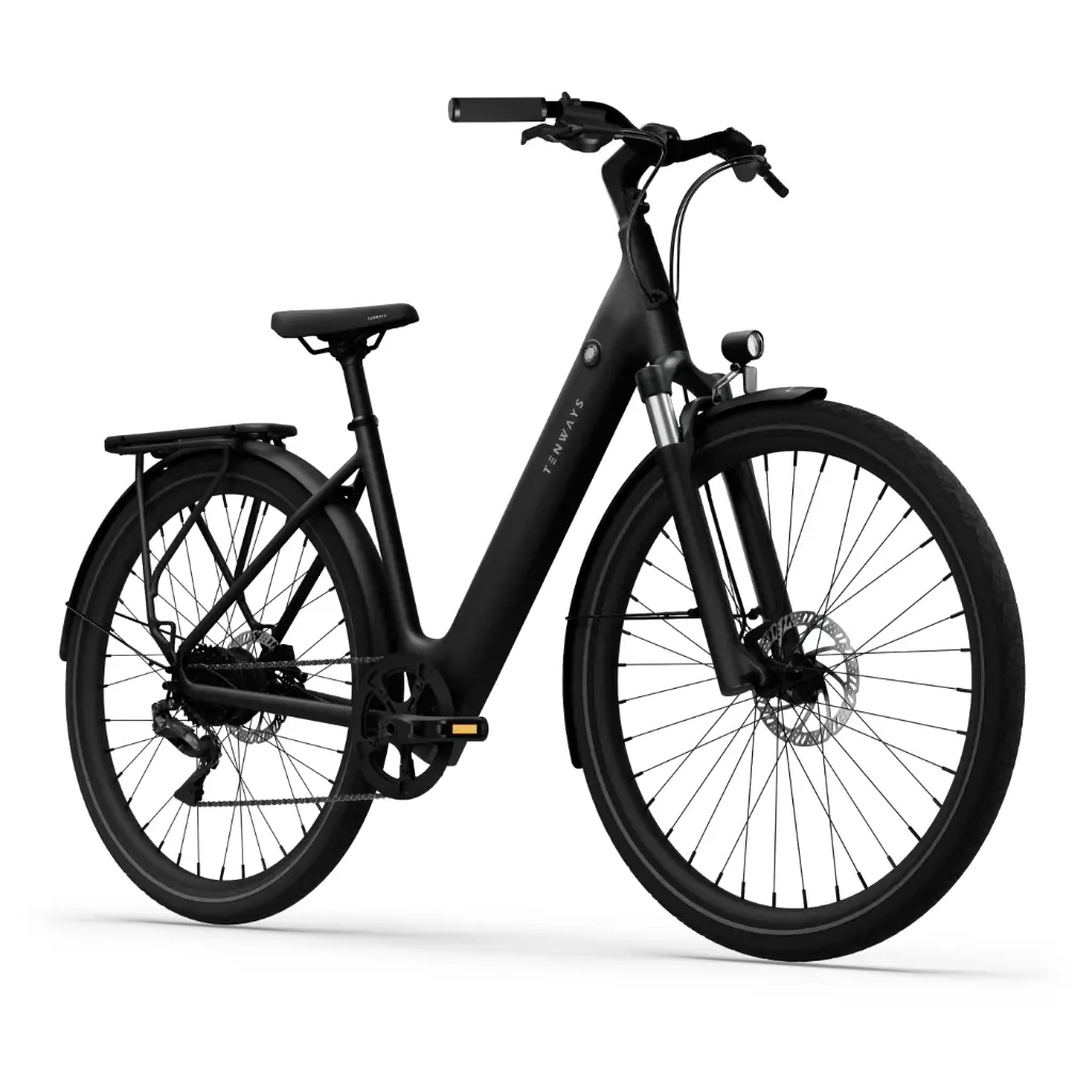 Elektrijalgratas TENWAYS CGO800 Plus, Midnight Black