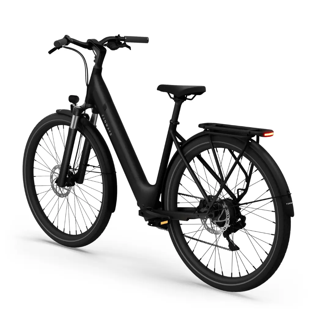 Elektrijalgratas TENWAYS CGO800 Plus, Midnight Black