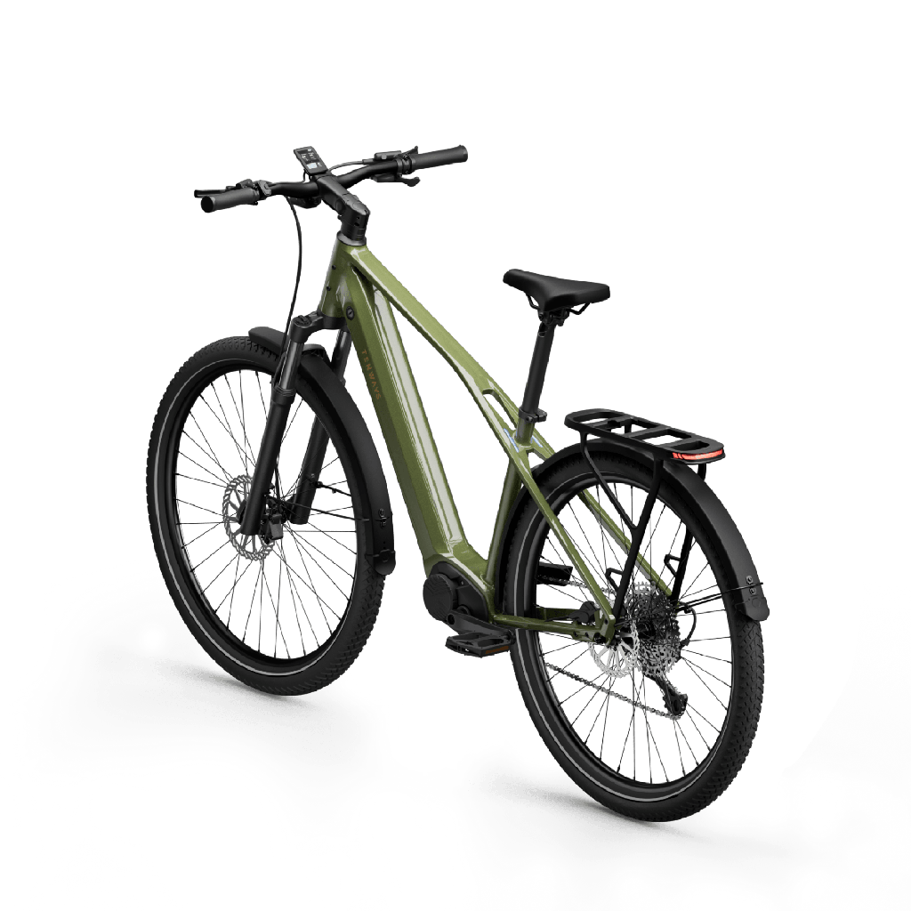 Elektrijalgratas TENWAYS AGO X Special Edition, 29″ Green