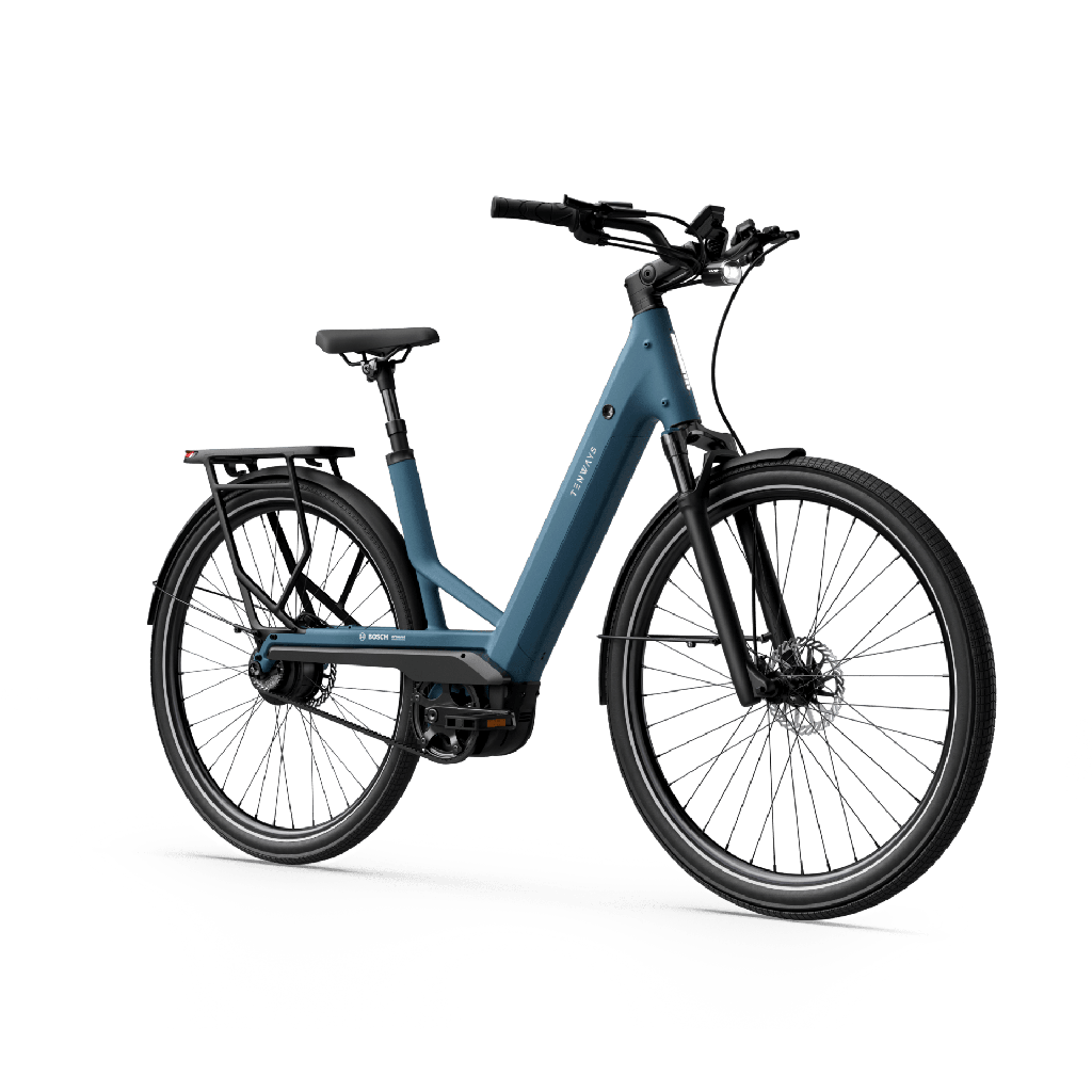 Elektrijalgratas TENWAYS Ago Performance, 29″ Mineral Blue