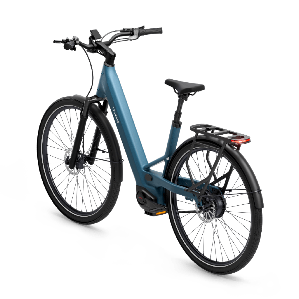 Elektrijalgratas TENWAYS Ago Performance, 29″ Mineral Blue